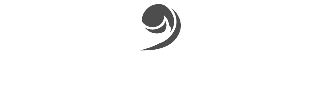 LingvaLexa Logotype